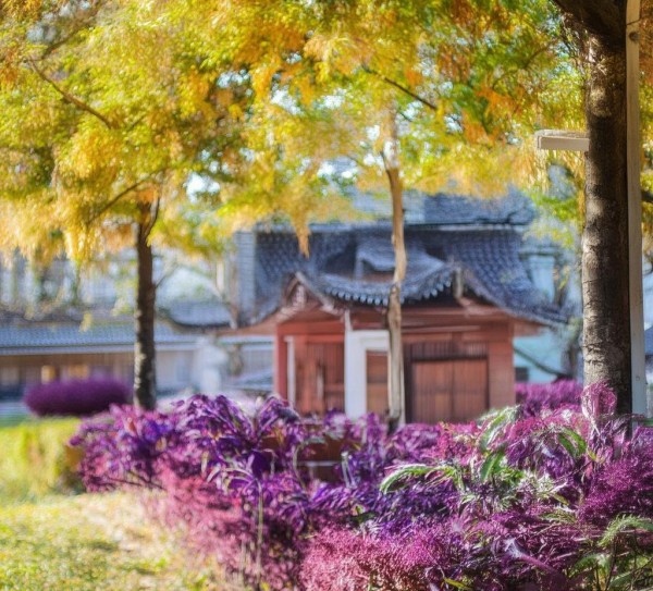 科技与创新,我的智能环保小帮手 科技与创新,我的智能环保小帮手